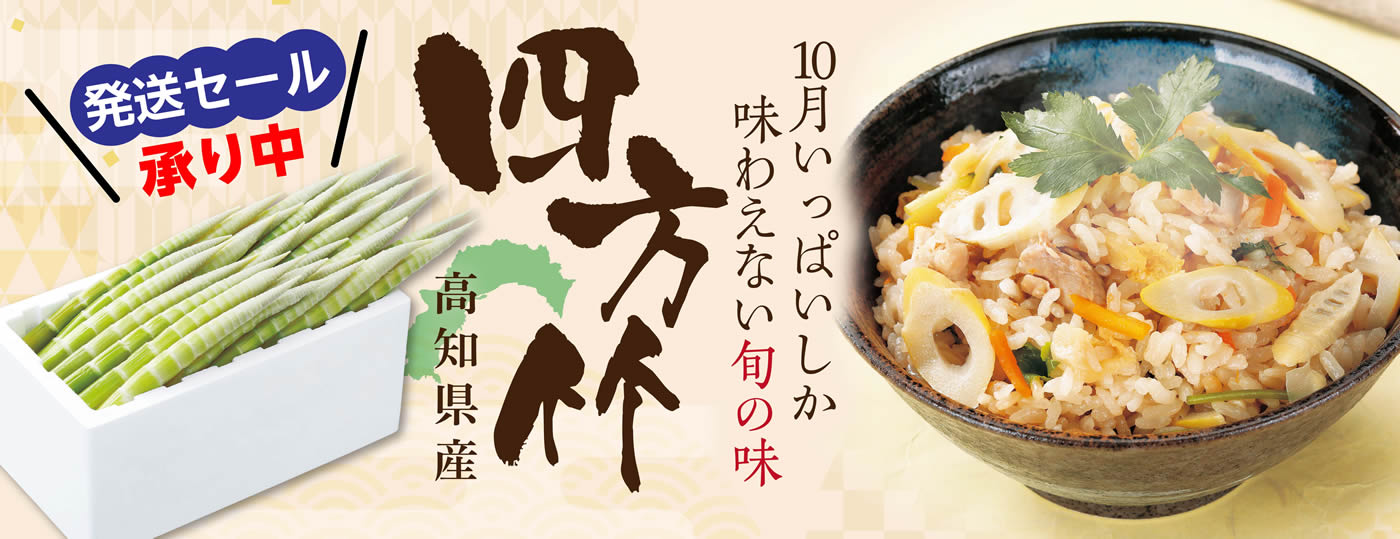 四方竹発送セールカテゴリーへ